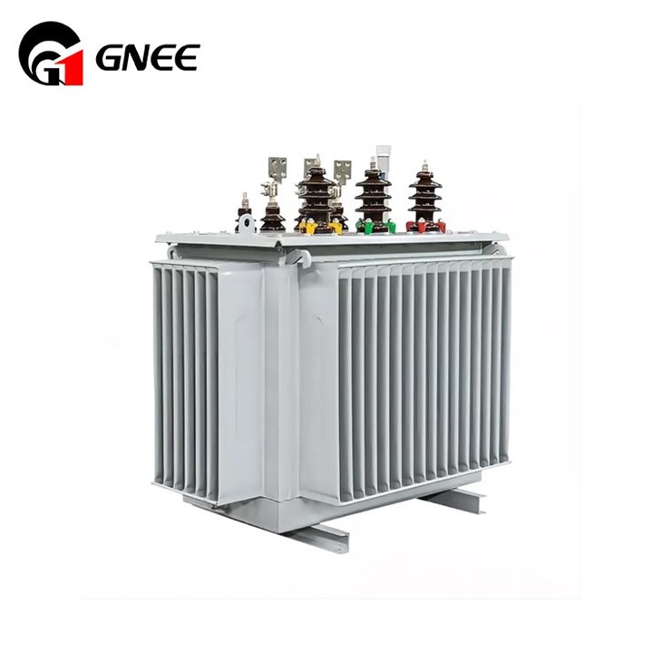 Oil Immersed Distribution Electrical Power Transformer