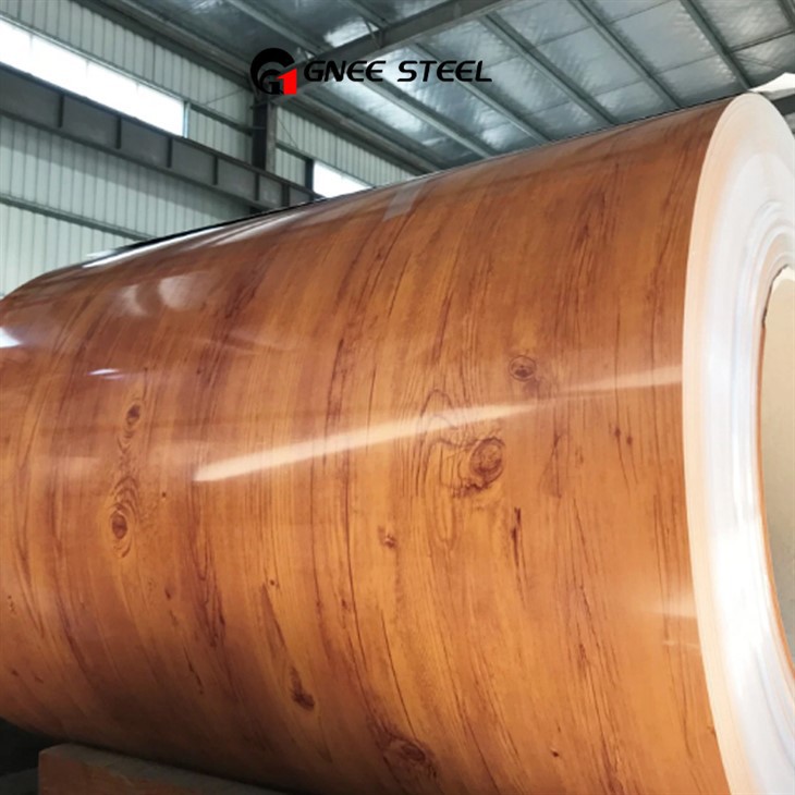 3D Wooden Surface Printed PPGL 