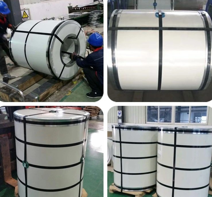 Color Coated Galvanized Coil Color Coated Galvanized Coil